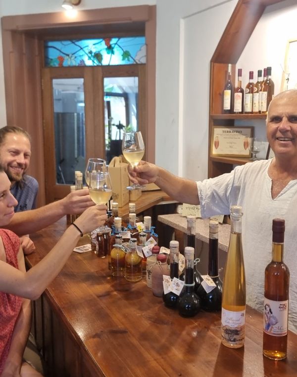 תמונה של נאות סמדר: יקב אורגני בלב הערבה - למטייל בישראל (טיולי)